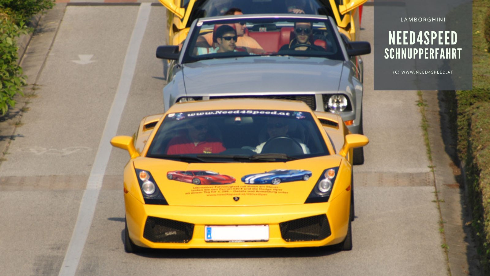 Lamborghini Gallardo LP520 gelb Front mit Branding
